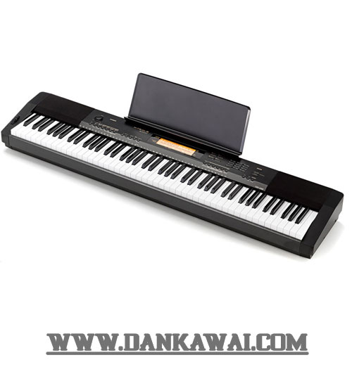dan-piano-dien-gia-re-cdp-230r