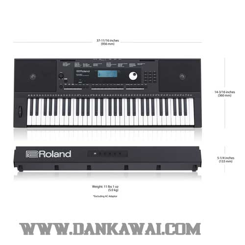 dan-piano-organ-roland-ex-20