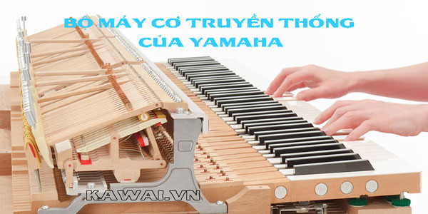 nen-mua-dan-piano-kawai-hay-yamaha-04