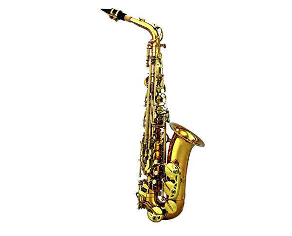 Saxophone-duoc-ua-chuong-mau2