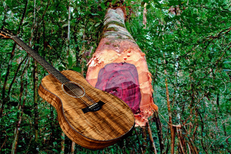go-mahogany-guitar