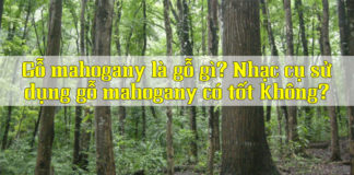 go-mahogany-la-gi-co-tot-khong