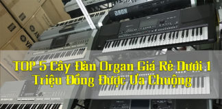 top-5-cay-dan-organ-cu-gia-re-duoi-1-trieu-duoc-ua-chuong