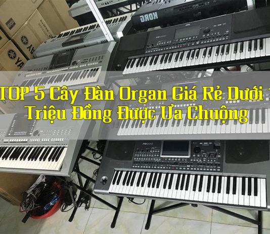 top-5-cay-dan-organ-cu-gia-re-duoi-1-trieu-duoc-ua-chuong