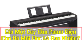 gia-dan-piano-dien-cho-be-bao-nhieu